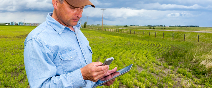 Multitasking Farmer